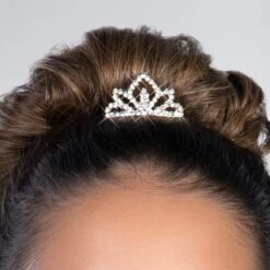 1st Position Sparkle Ombré Ballet Dress With Tulle Petal Trim -Revolution Shop cobd0034 5