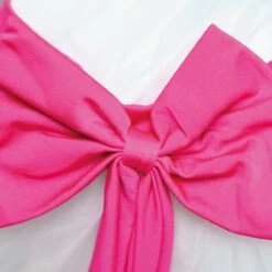 1st Position Scoop Neck Net Overlay Romantic Tutu With Contrasting Bow Trim -Revolution Shop fpc23042 whiteneonpink 6